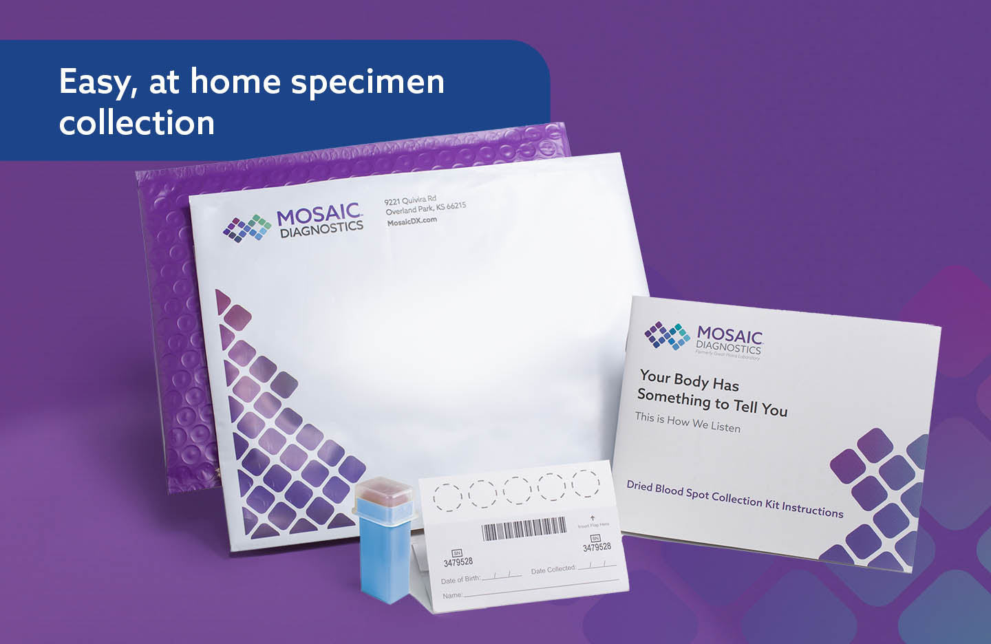 IgG Food Sensitivity MAP with Candida + Yeast At-Home Test