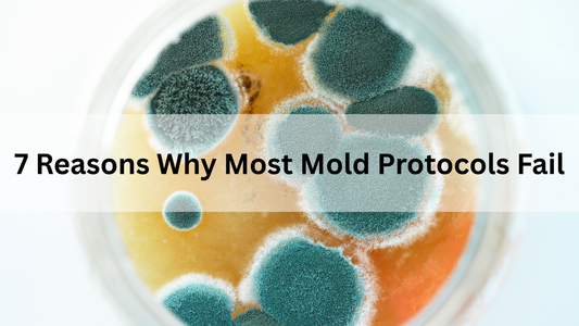 7 Reasons Mold Detox Protocols Fail