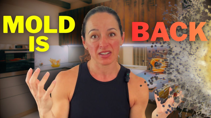  Mold Reexposure: My Experience & 3 Steps to Take Immediately 