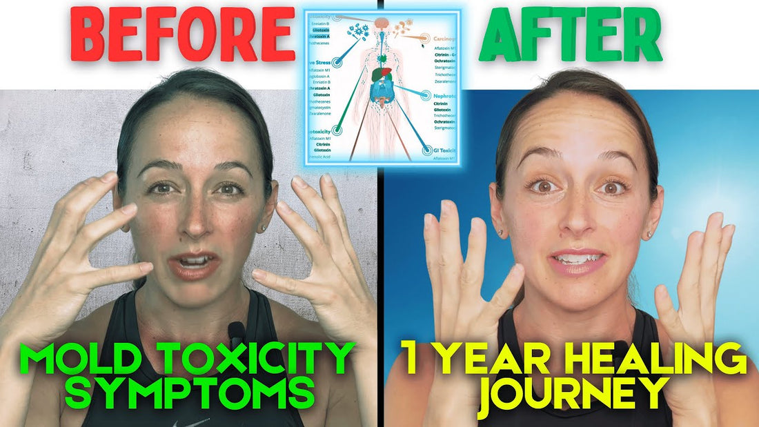 Mold toxicity symptoms testing and natural recovery guide
