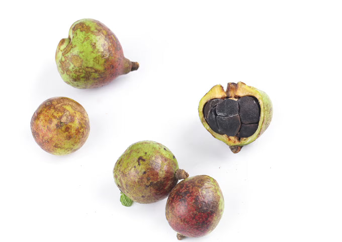 6 Black Walnut Benefits—From Snacking to Supplementation