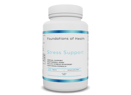 Foundations of Health Stress Support