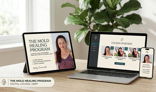 The Mold Healing Program